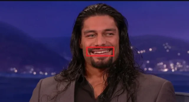 roman reigns in 2015
