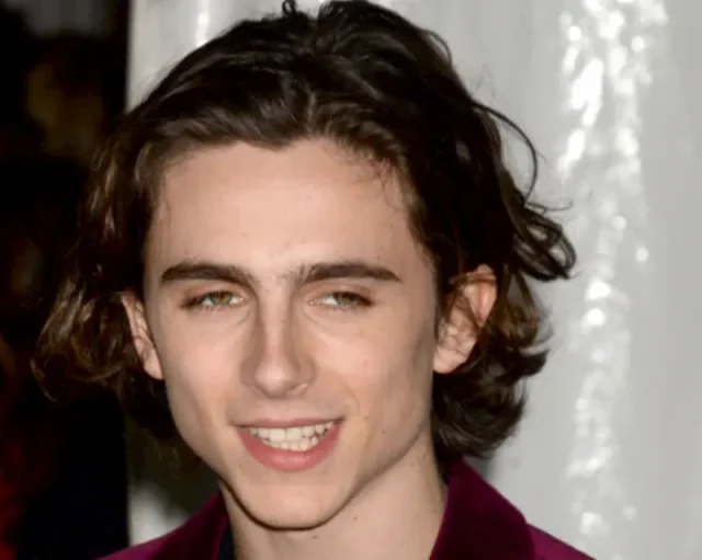 timothee chalamet teeth in 2015