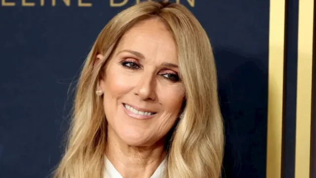 celine dion hollywood smile celine dion hollywood smile