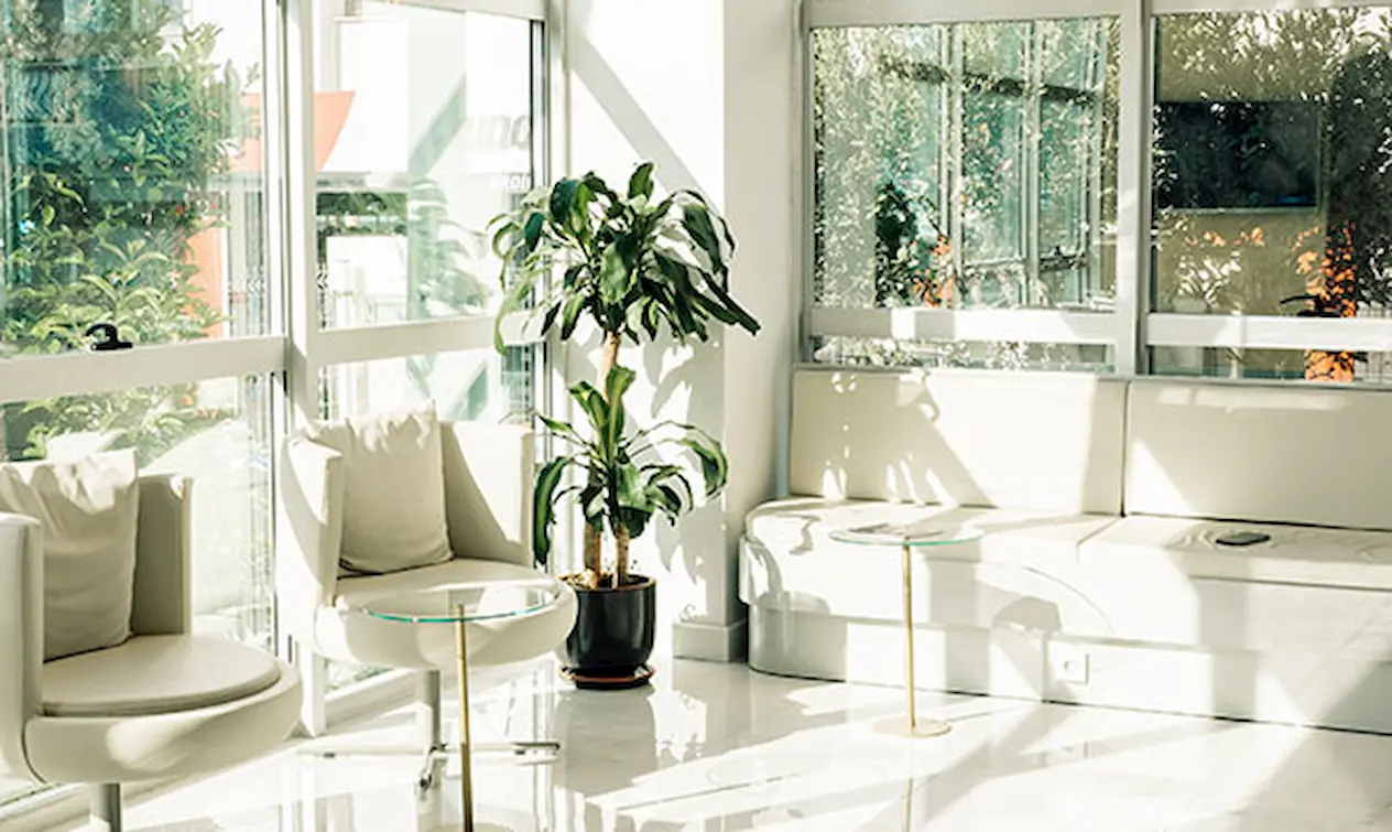 dentafe dental clinic