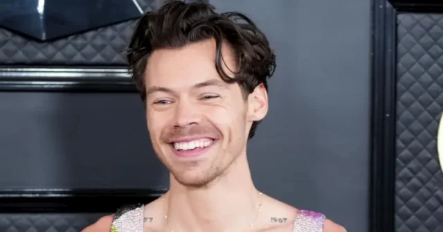 harry styles hollywood smile harry styles hollywood smile